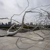 A Silver Tree Grows in Manhattan